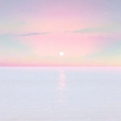 bob·体育综合appapp下载